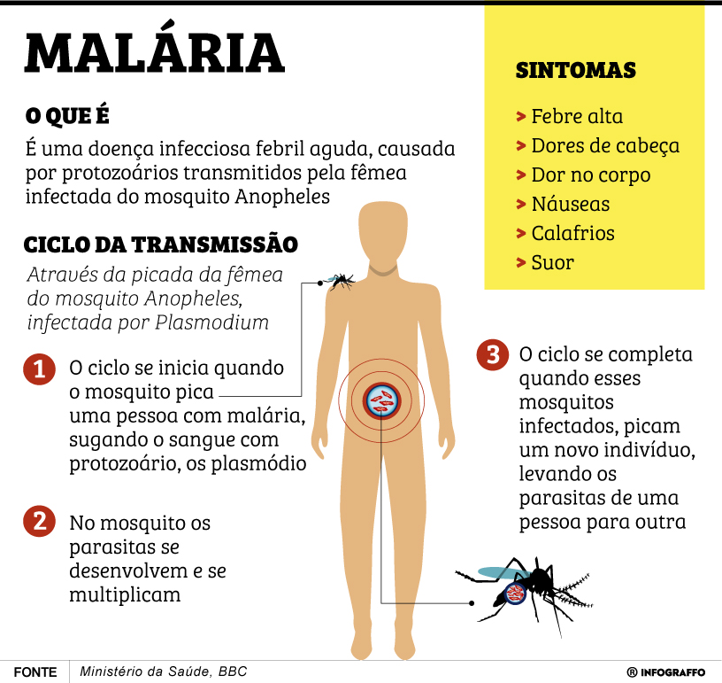 Infográfico do Dia