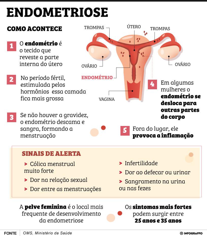 Infográfico do Dia