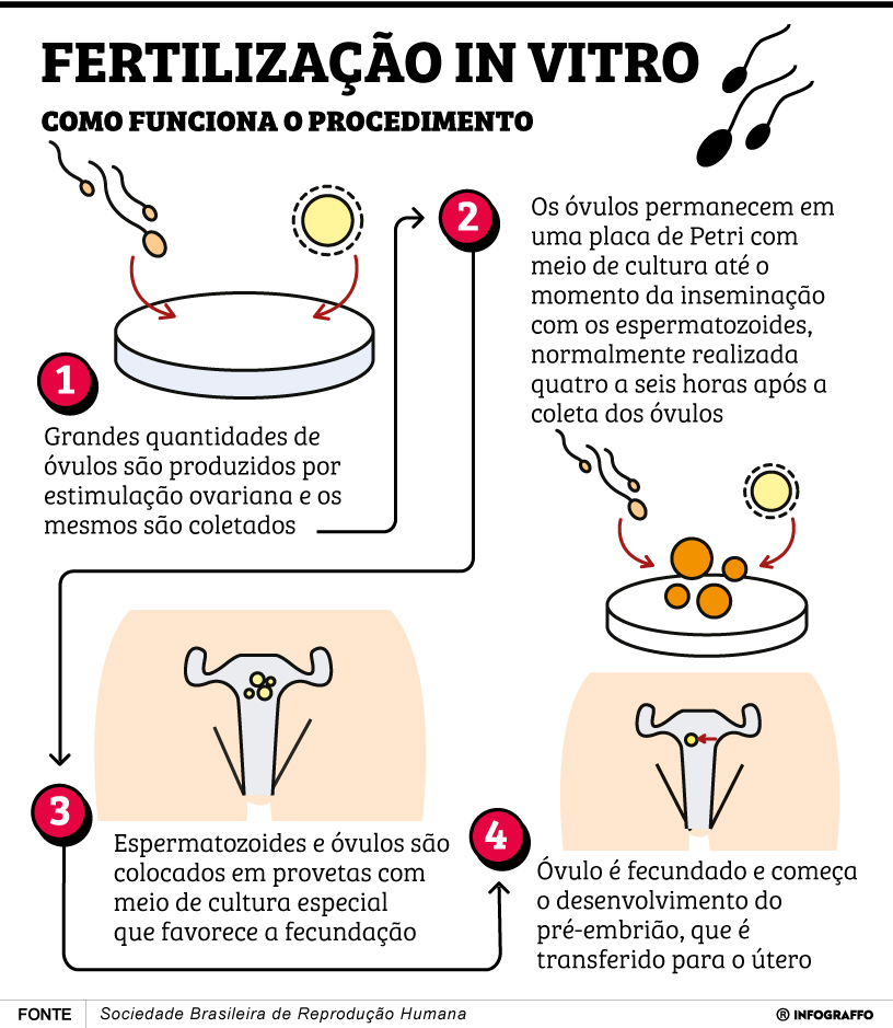 Infográfico do Dia