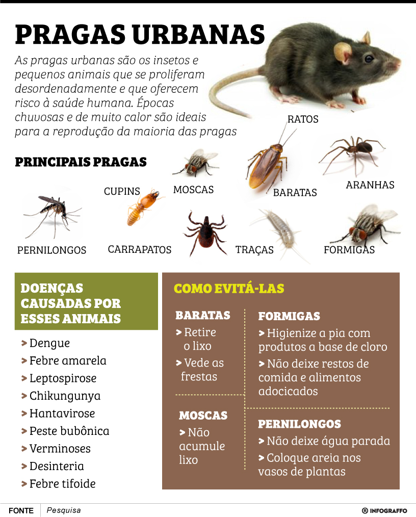 Infográfico do Dia