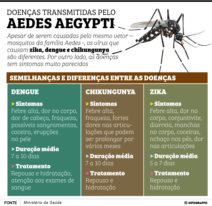 Infográfico do Dia