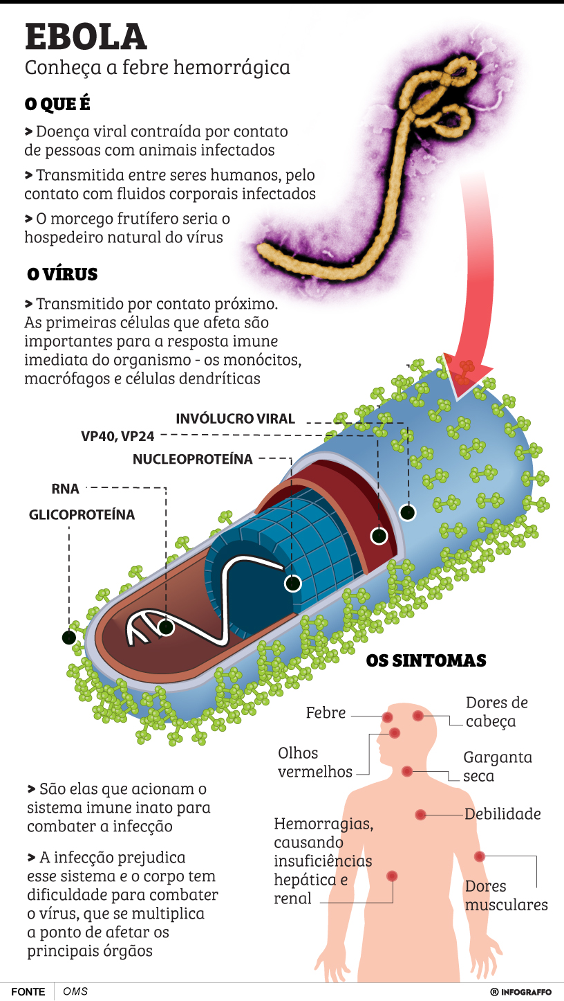 Infográfico do Dia