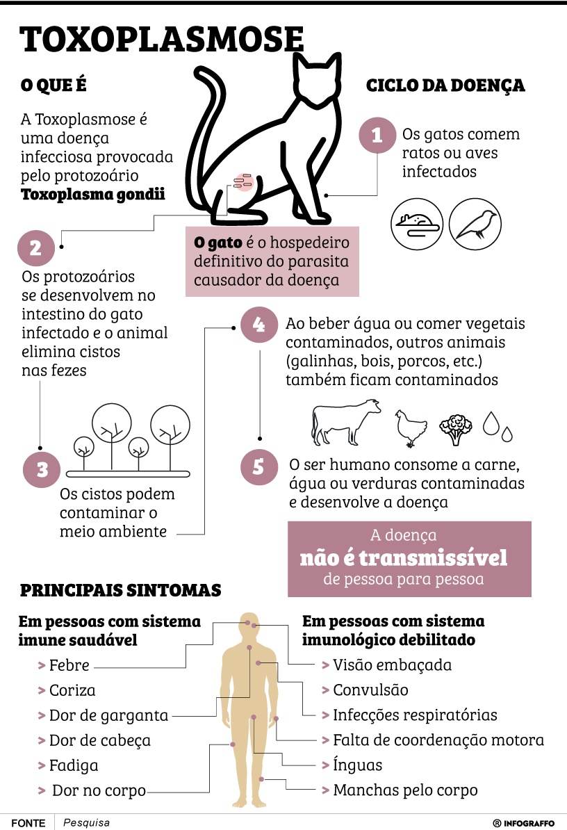 Infográfico do Dia