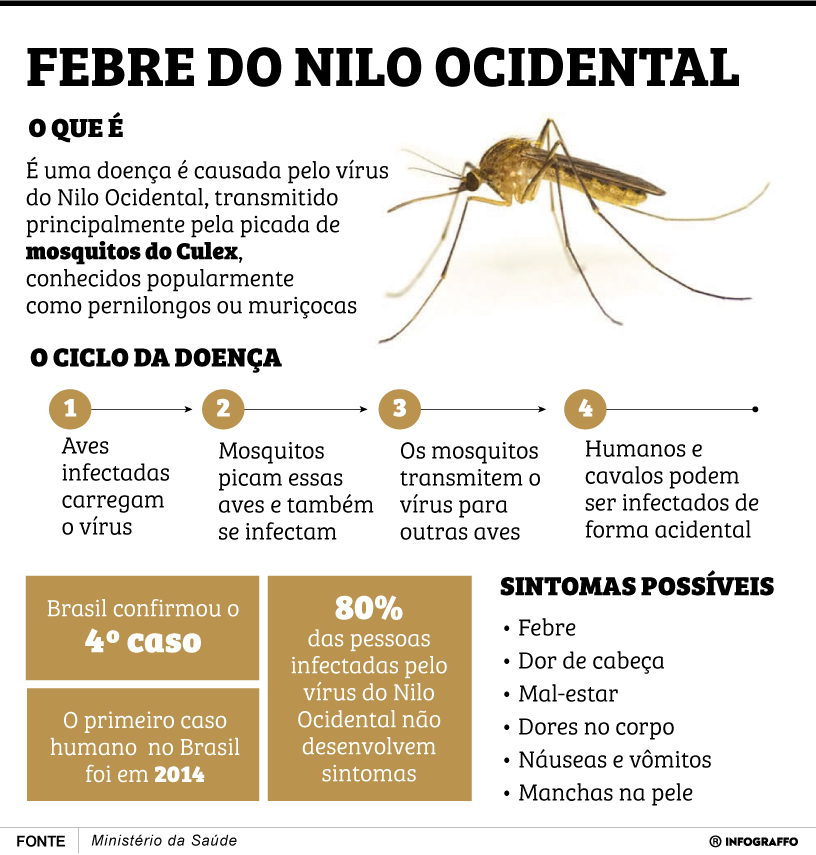 Infográfico do Dia