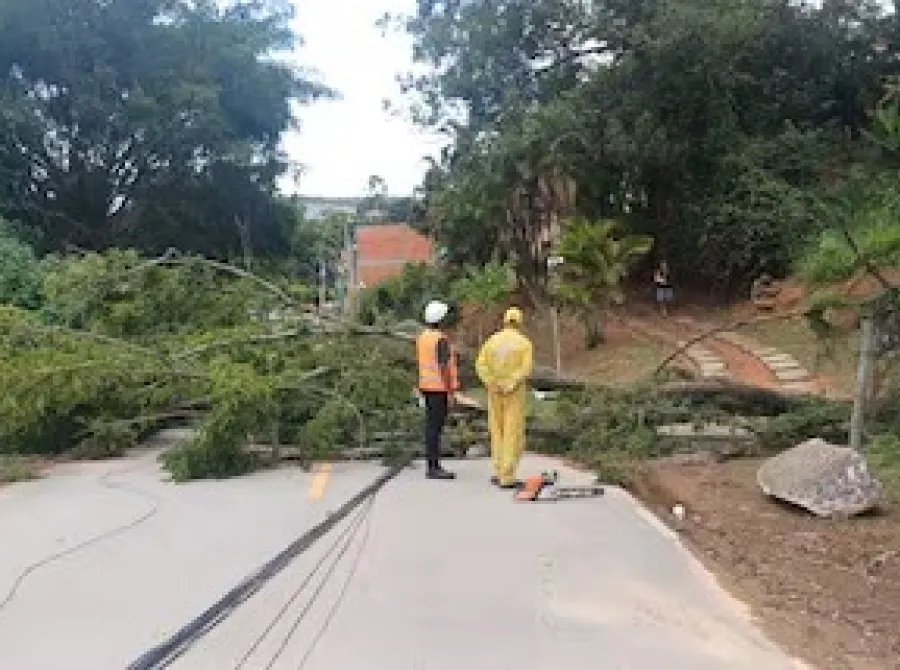Quase 24h após vendaval, mais de 1,5 milhão de imóveis na Grande SP seguem sem energia