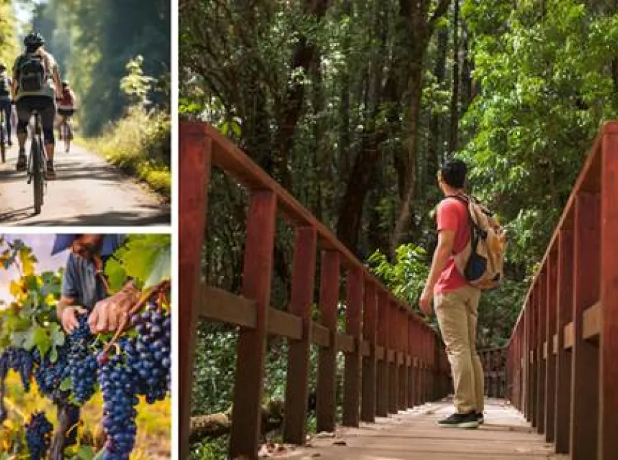 Região Sul do Brasil traz contato com a natureza e cultura local como destaques no Catálogo de Experiências Turísticas do Brasil