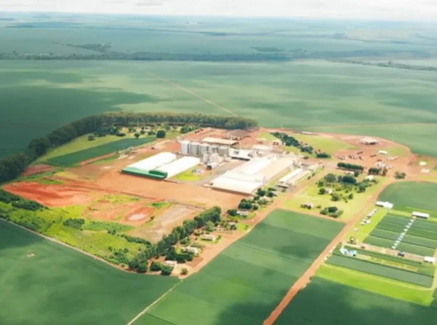 Sementes São Francisco, do Pátria, compra Auma Sementes e entra em MG