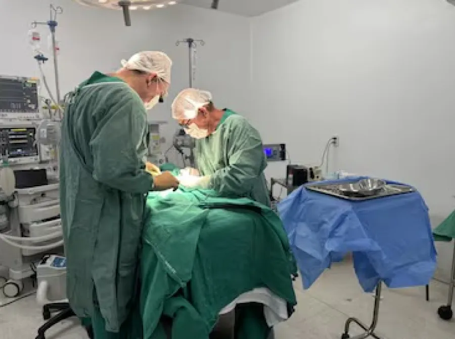 Gêmeos siameses recém-nascidos morrem em Goiás após cirurgias