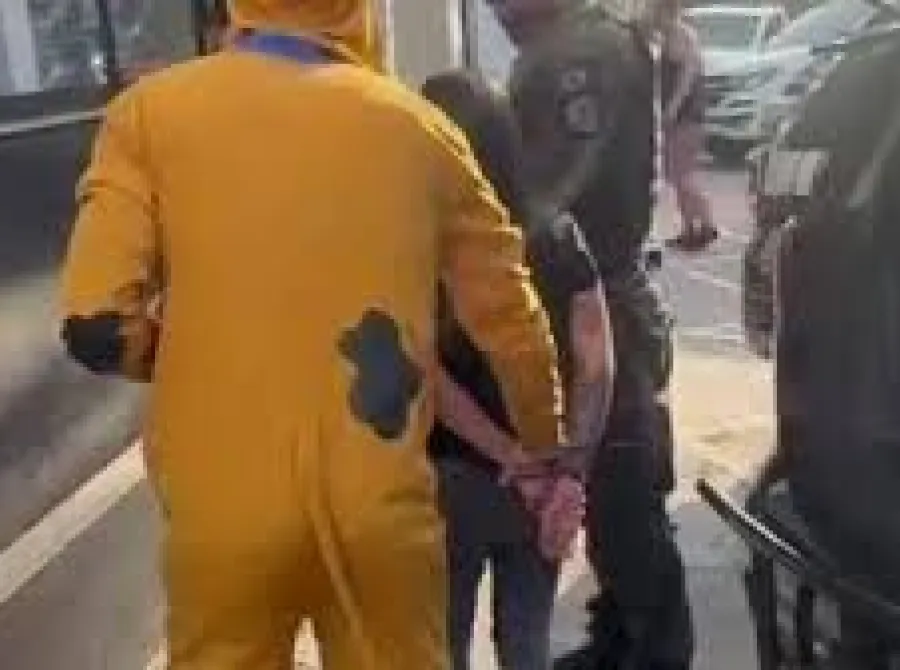 Policiais fantasiados de Scooby-Doo e Turma do Chaves prendem suspeitos no carnaval de SP