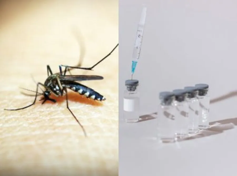 Vacina da dengue segue suspensa e caso suspeito de Ebola continua sob investigação