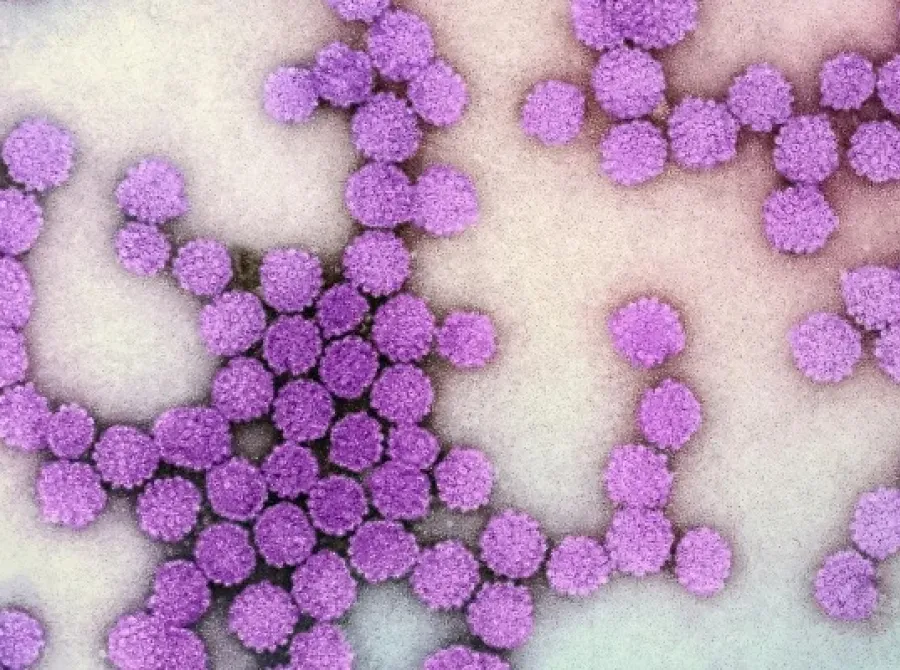 Medicamento da GSK contra hepatite B crônica recebe primeira aprovação regulatória no Japão